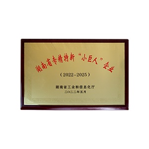 湖南省專精特新“小巨人”企業(yè)